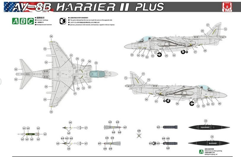 Esquema VMA-214 Black Sheep gris claro del AV-8B Harrier II Plus de UMa Model D1001