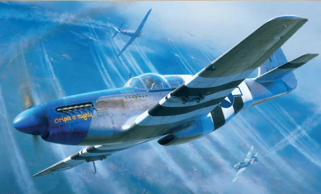 EDUARD (1/48) P-51B Mustang Malcolm Hood canopy