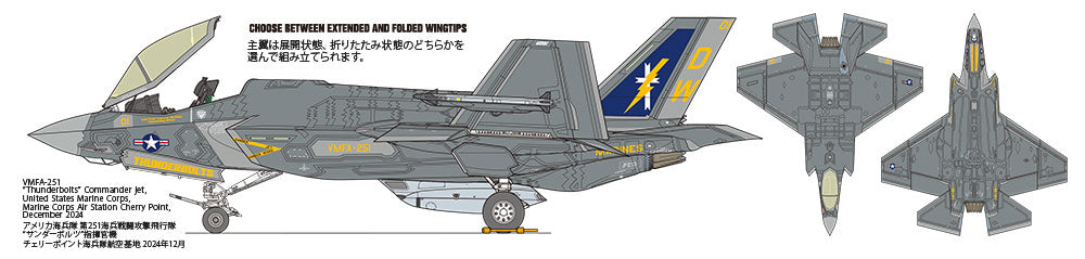 Esquema de pintura de la maqueta del caza F-35C en escala 1:72 de Tamiya referencia 60794