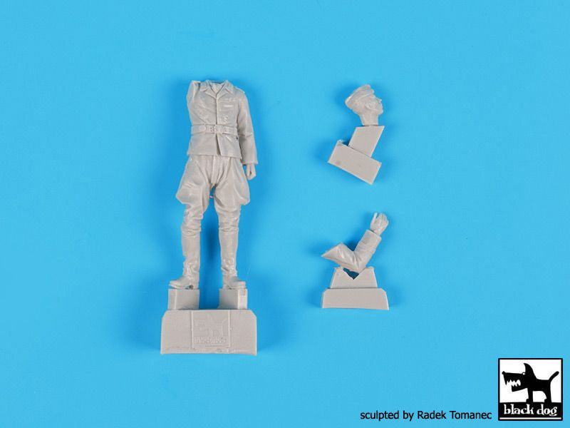 Figura 1 del set de 2 pilotos de la Luftwaffe durante 1940-45 en escala 1:32 de Black Dog referencia 32042