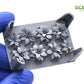 Contenido del set de matojos de plantas llanten en escala 1:35 de Secnix Studio referencia SXP35004