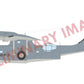 Decoración 2 de la maqueta del hidroavión PBY-5A Catalina en escala 1:48 de Eduard referencia 11198