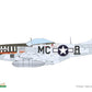 Decoración 1 de la maqueta del caza P-51D Mustang en escala 1:72 de Eduard Weekend edition referencia 7477