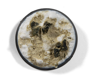 AK INTERACTIVE Enamel Liquid Pigment (Pigmento Líquido) – Concrete (35ml)
