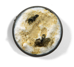 AK INTERACTIVE Enamel Liquid Pigment (Pigmento Líquido) – Dust (35ml)