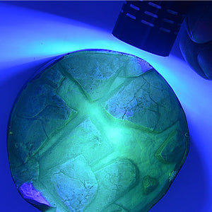 Foto detalle de la resina iluminada con luz ultravioleta de AK referencia 8290