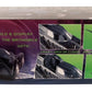 AMT (1/25) Batman Forever Batmobile