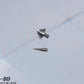 Tubos Pitot del AV-8B Harrier II Plus de UMa Model D1001