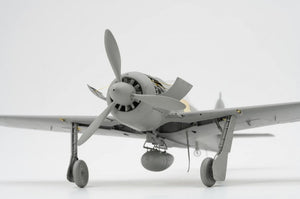 BORDER MODEL (1/35) Focke-Wulf FW-190A-8 4 in 1 (R2; R6; R7; R8)