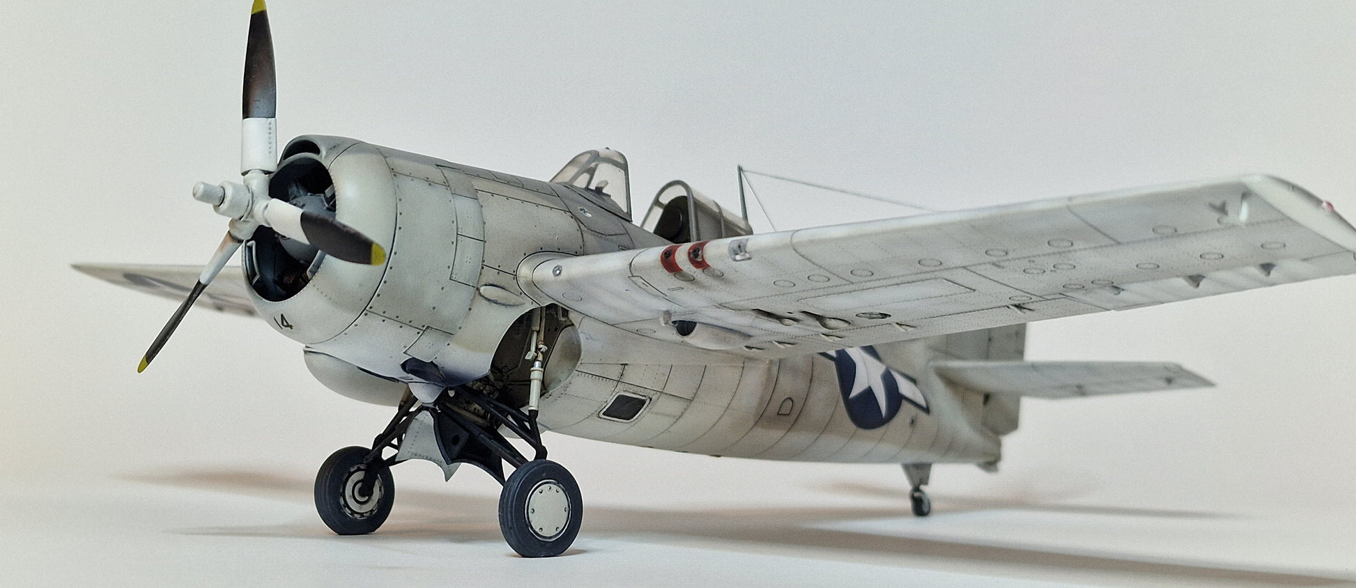 Foto de frente de la maqueta del caza FM-1 Wildcat en escala 1:48 de Eduard referencia 82204