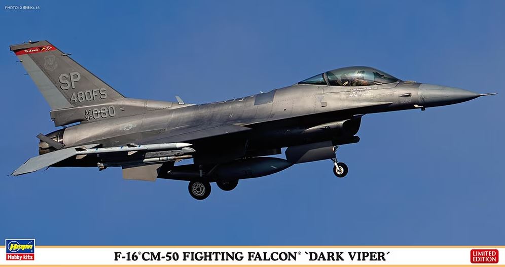HASEGAWA (1/48) F-16CM-50 Fighting Falcon 'Dark Viper'