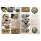 Página 10 del libro de los esenciales de la serie The Weathering Magazine de Ammo referencia 6329