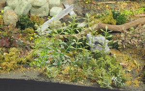 MATHO (1/35) Plants & Weeds B