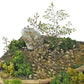 MATHO (1/35) Plants & Weeds C