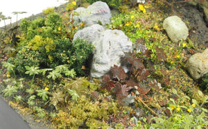 MATHO (1/35) Plants & Weeds D