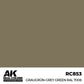 AK INTERACTIVE Real Color - Graugrün-Grey Green RAL7008 (17ml)