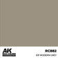 AK INTERACTIVE Real Color - IDF Modern Grey (17ml)