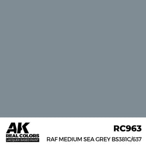 AK INTERACTIVE Real Color - RAF Medium Sea Grey BS381C/637