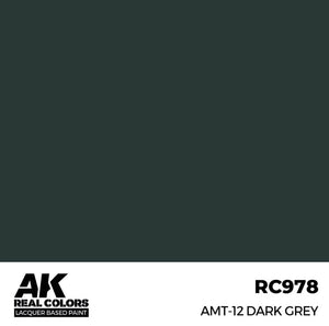 AK INTERACTIVE Real Color - AMT-12 Dark Grey