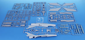 SPECIAL HOBBY (1/48) SMB-2 Super Mystère 'Sa'ar - Israeli Storm in the Sky'
