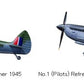 TAMIYA (1/32) Supermarine Spitfire Mk.XVIe