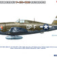 Esquema de decoración 1 de la maqueta del caza norteamericano P-47D 10RE Razorback en escala 1:48 de Miniart referencia 48030