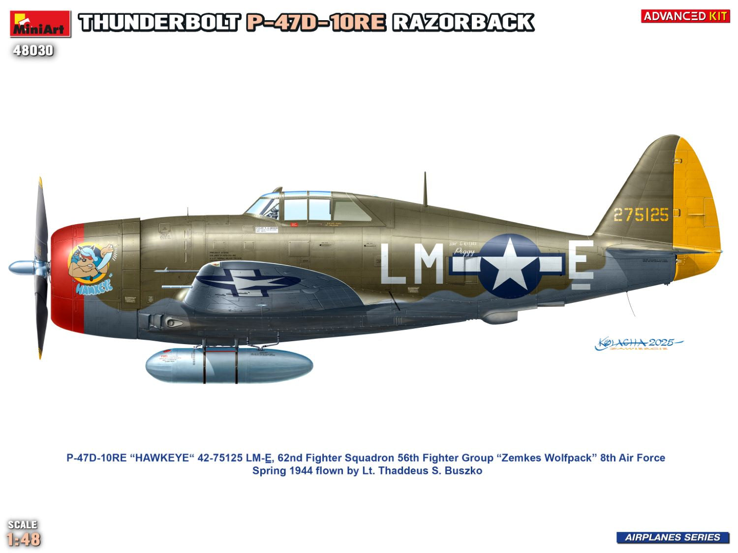 Esquema de decoración 3 de la maqueta del caza norteamericano P-47D 10RE Razorback en escala 1:48 de Miniart referencia 48030