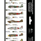 VALLEJO Model Air Set: Imperial Japanese Army (IJA) colors pre-war to 1945 (8 colores)