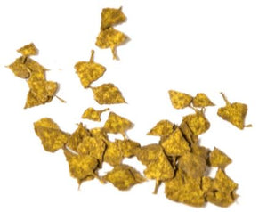 AK INTERACTIVE Birch Autumn - Dry Leaves 1/35