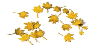 AK INTERACTIVE Maple Autumn - Dry Leaves 1/35