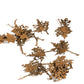 AK INTERACTIVE Maple Dead Leaves - Dry Leaves 1/35