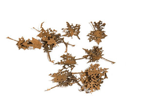 AK INTERACTIVE Maple Dead Leaves - Dry Leaves 1/35