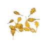 AK INTERACTIVE Oak Autumn - Dry Leaves 1/35
