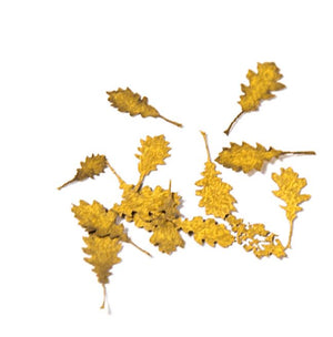 AK INTERACTIVE Oak Autumn - Dry Leaves 1/35