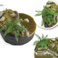 AK INTERACTIVE Helecho 1/32 & 1/35