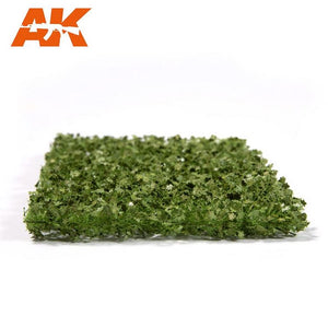AK INTERACTIVE Platane Foliage Summer