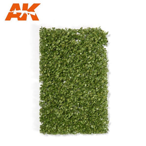 AK INTERACTIVE Platane Foliage Summer