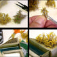AK INTERACTIVE Summer Green Shrubberies