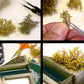 AK INTERACTIVE Spring Green Shrubberies