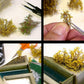 AK INTERACTIVE Autumn Brown Shrubberies