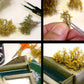 AK INTERACTIVE Bloomming Pink Shrubberies