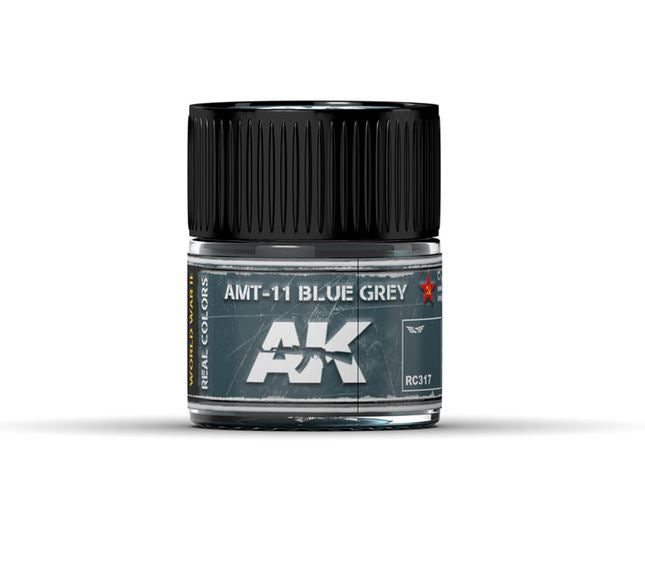 AK INTERACTIVE Real Color - AMT-11 Blue Grey 10ml